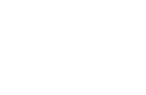 Vonixx